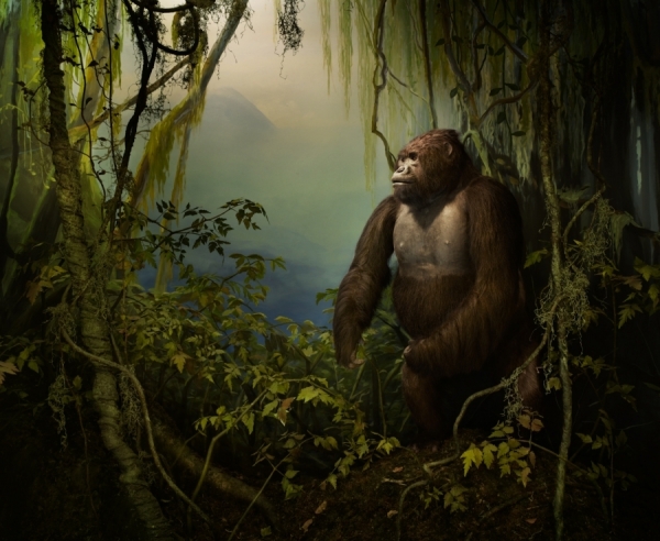 Photograph Stan Musilek Dioramas 1 on One Eyeland